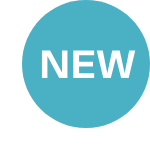 Item Status - New Item